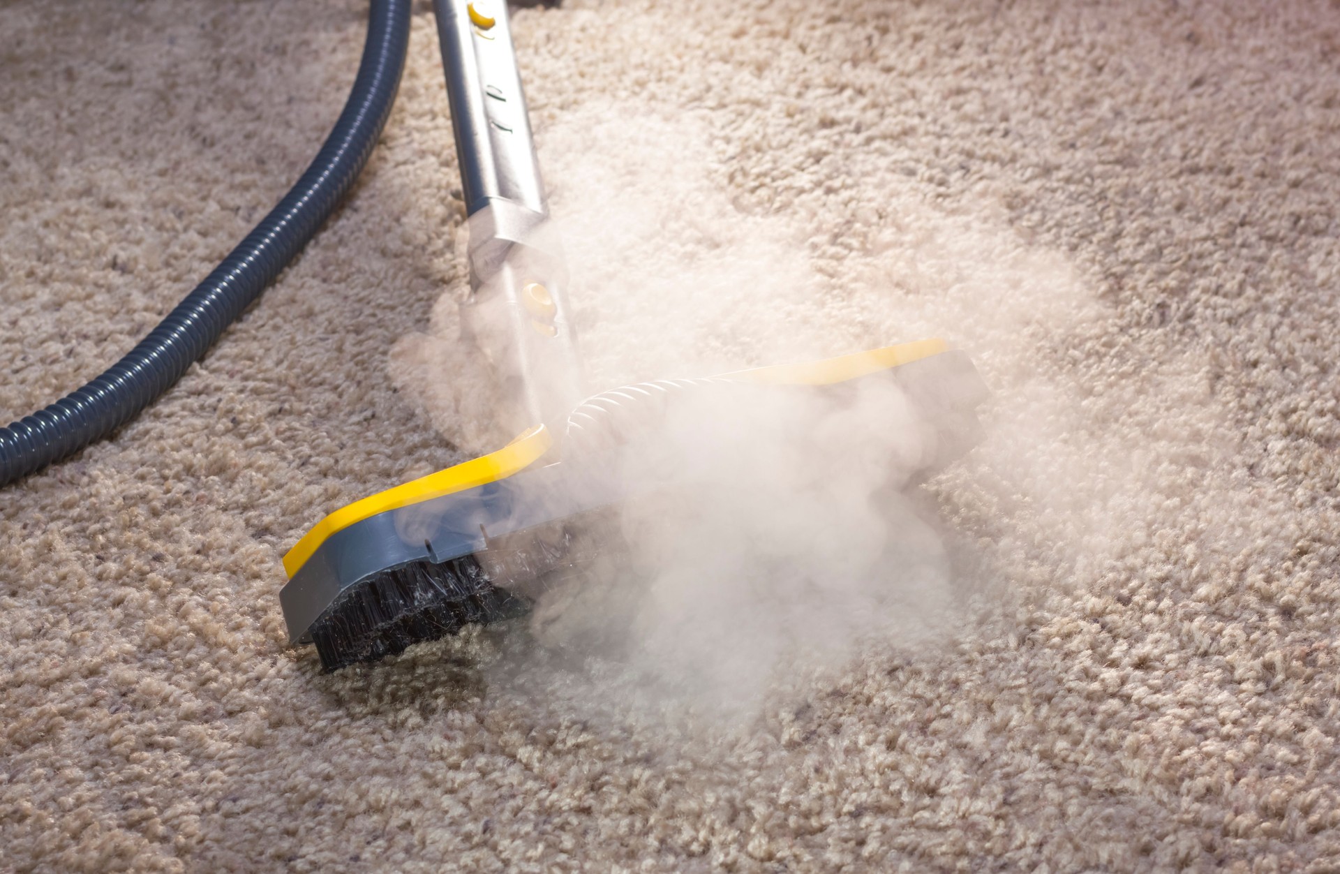 Carpet Cleaning Services